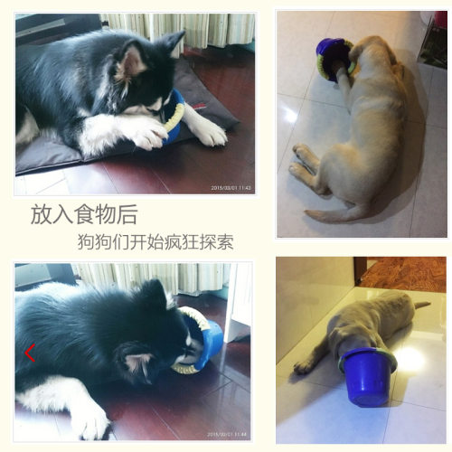 Caitec狗狗益智玩具漏食桶宠物漏食水桶藏食玩具解闷神器中大狗玩 - 图3