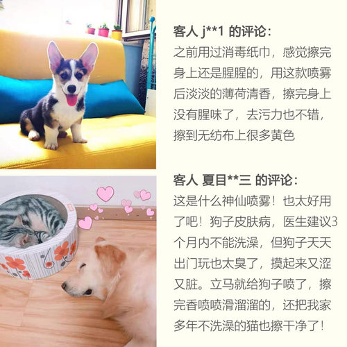 美国Best Shot猫咪狗狗免洗干洗喷雾宠物清洁用品洗澡幼猫犬除味 - 图2