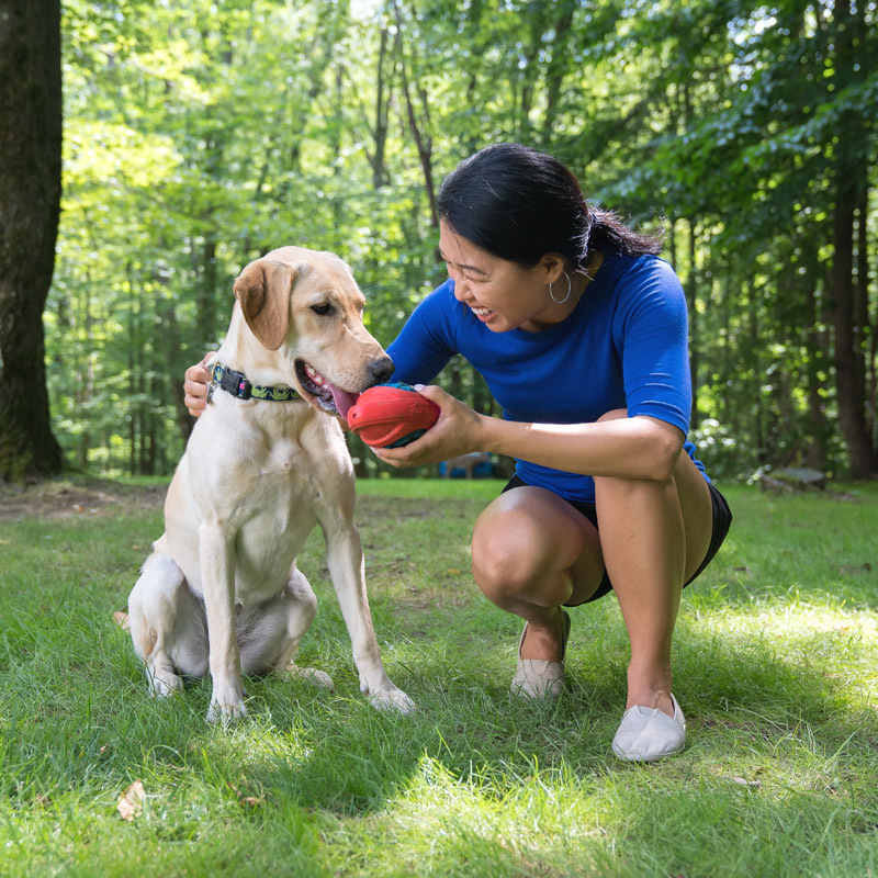 CAITEC狗狗玩具布面发声球系列橄榄球结实耐咬硬实中型犬大型犬 - 图0