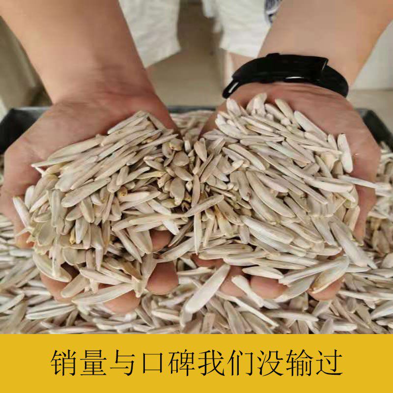 新疆马牙牙签月牙狼牙散装盐白瓜子 聚力食品瓜子