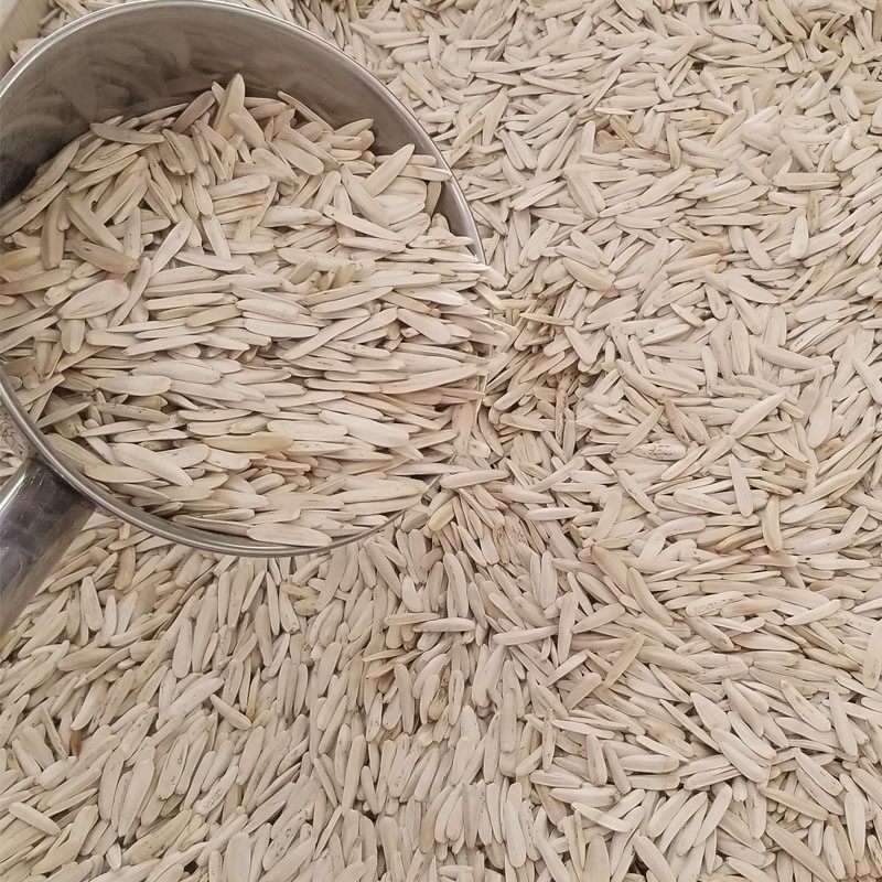 新疆马牙牙签月牙狼牙散装盐白瓜子 聚力食品瓜子