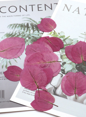 三角梅手工植物标本干花手机壳
