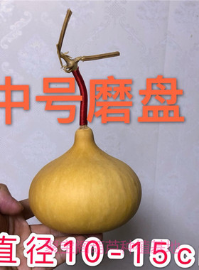 大磨盘葫芦种子籽中号巨型草里金
