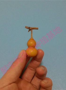 特小葫芦种子微型手捻小葫芦盆栽