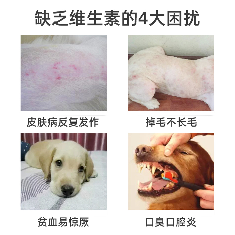 Reddog红狗复合维生素B族溶液50ml 猫狗防脱掉毛美毛缓解皮肤问题