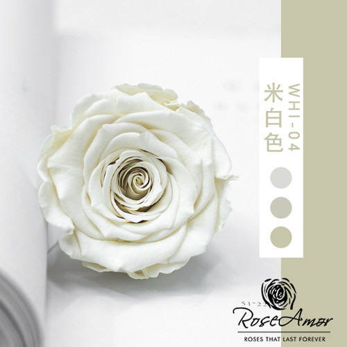 花纪永生花diy车挂玫瑰大号永生花厄瓜多尔进口roseamor5-6cm单朵 - 图1
