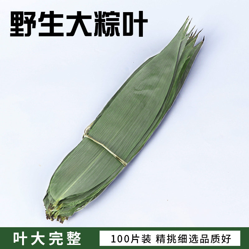 粽叶包粽子干粽叶新鲜天然野生大棕叶芭蕉芦苇叶箬叶包粽子的竹叶_虎窝淘
