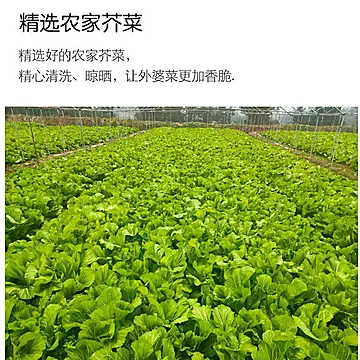 聪厨湘西外婆菜250g袋装农家下饭菜湖南特产[20元优惠券]-寻折猪