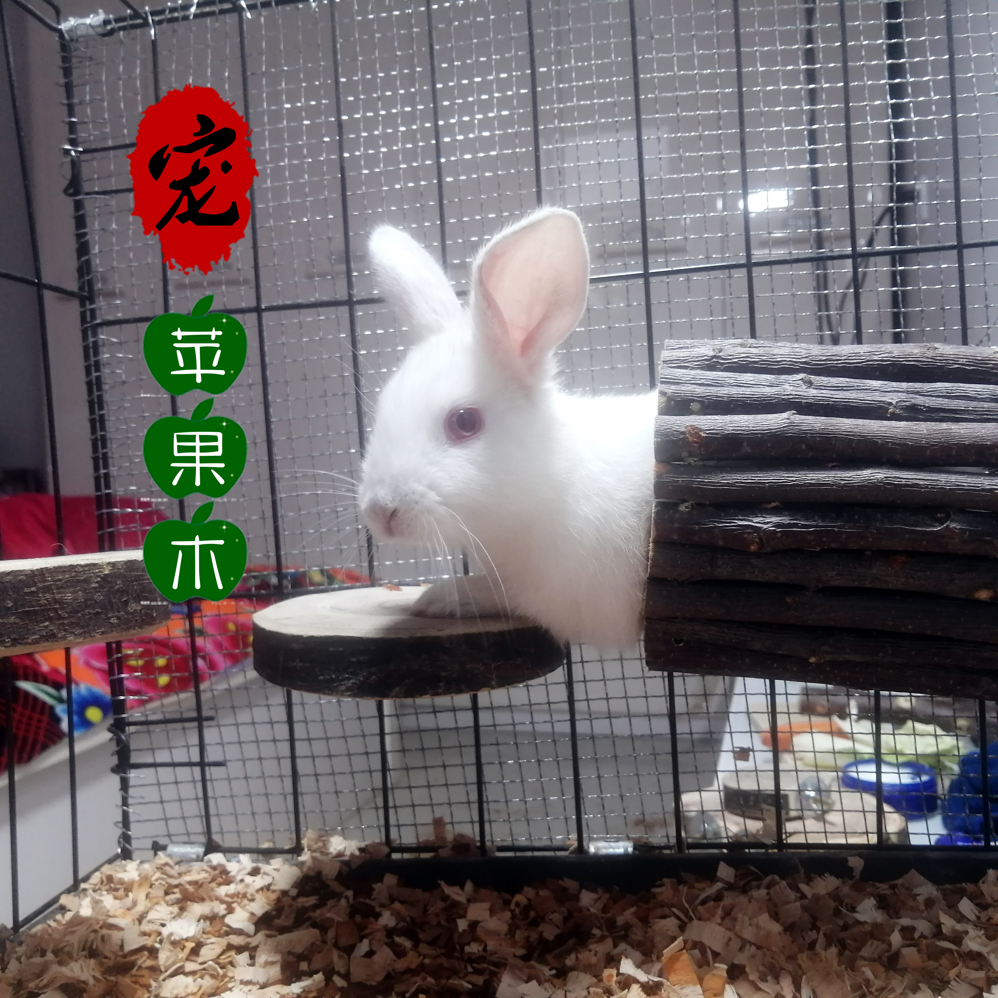 苹果木宠物隧道仓鼠龙猫躲避洞子金丝熊磨牙兔子豚鼠跑道玩具用品,淘宝优惠券,粉丝福利购,淘宝优惠卷