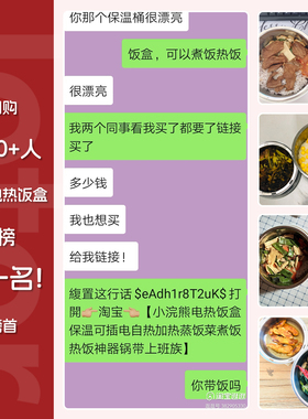 电加热饭盒上班族小型便携热饭菜
