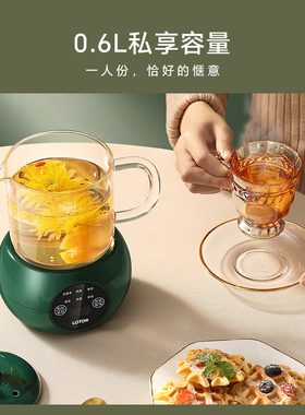 lotor办公室一人小型养生杯