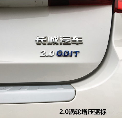 哈弗H6H2sH9M6COUPE运动版初恋大狗赤兔改装专用尾标贴2.0T排量标 - 图2