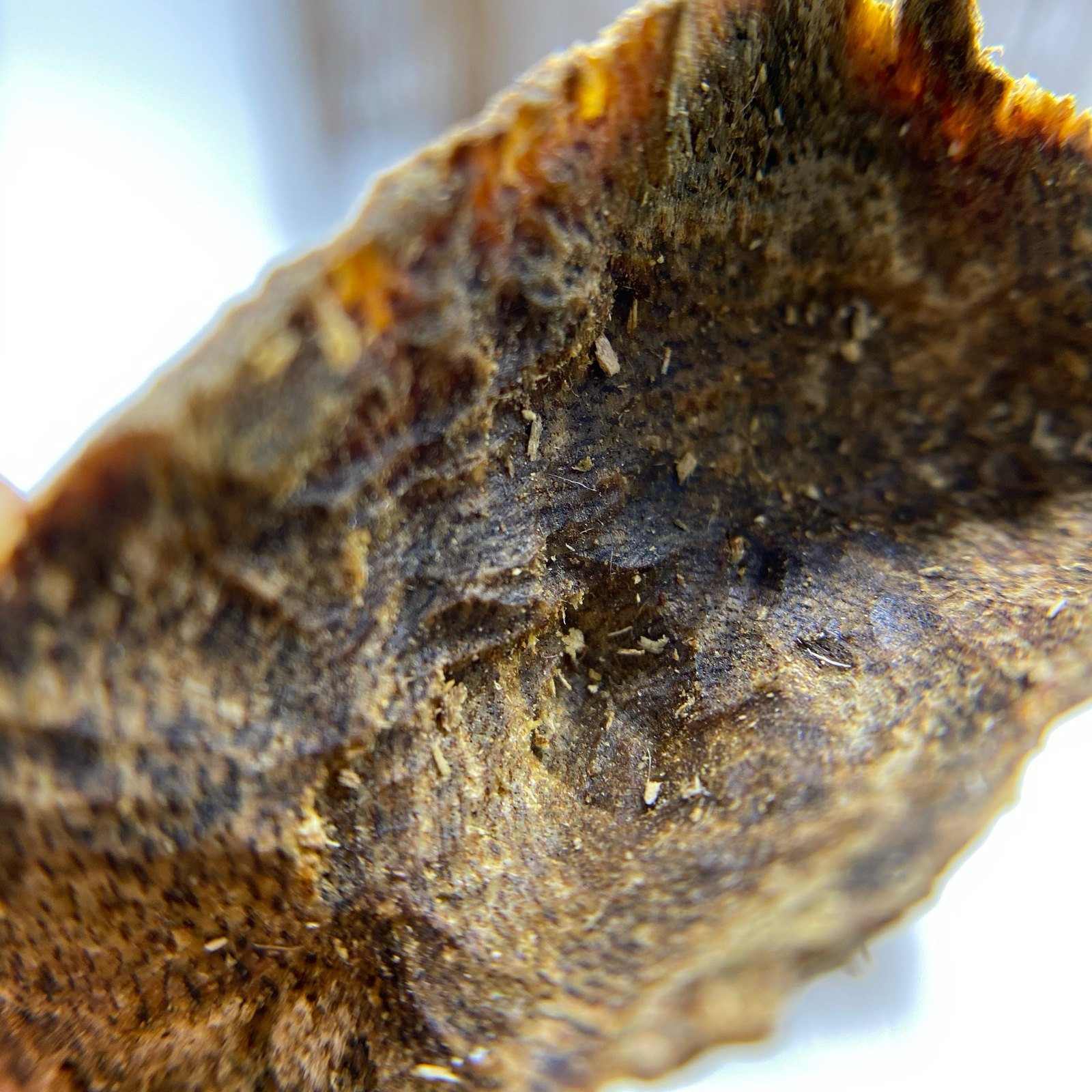 【棋楠九分沉水奇楠】绿奇楠软丝料 高油棋韵凉香 全部干净透顶油,淘宝优惠券,粉丝福利购,淘宝优惠卷