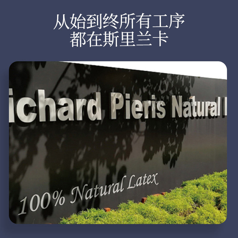 睡眠博士斯里兰卡进口95乳胶枕头枕芯护颈助睡眠枕颈椎枕专用枕头,淘宝优惠券,粉丝福利购,淘宝优惠卷