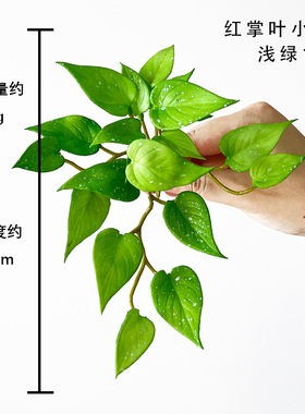 手感软胶多肉植物假叶子铜钱草红掌叶壁挂居家装饰绿植桌面摆放