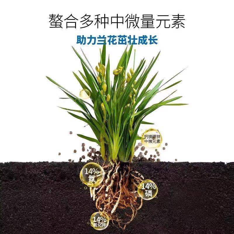 兰花肥料专用肥控释肥蝴蝶兰缓释肥营养液魔肥颗粒石斛兰开花多箭,淘宝优惠券,粉丝福利购,淘宝优惠卷