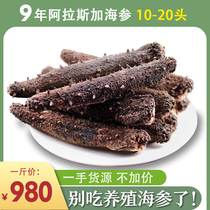 Import of wild sea cucumbers US Alaska red Spurs ginseng Aqua Sea Canada Sea Cucumbers 500g