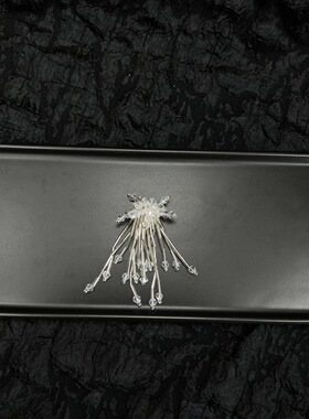 闪钻高级感银色鞋花装饰品
