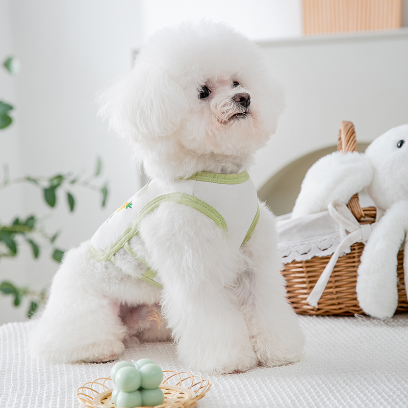 小狗狗衣服夏季可牵引薄款泰迪背心比熊雪纳瑞猫咪小型犬宠物夏天 - 图2