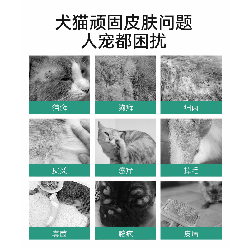 宠物药浴狗狗皮肤病真菌猫藓沐浴露猫咪洗澡专用浴液杀菌除螨驱虫 - 图1