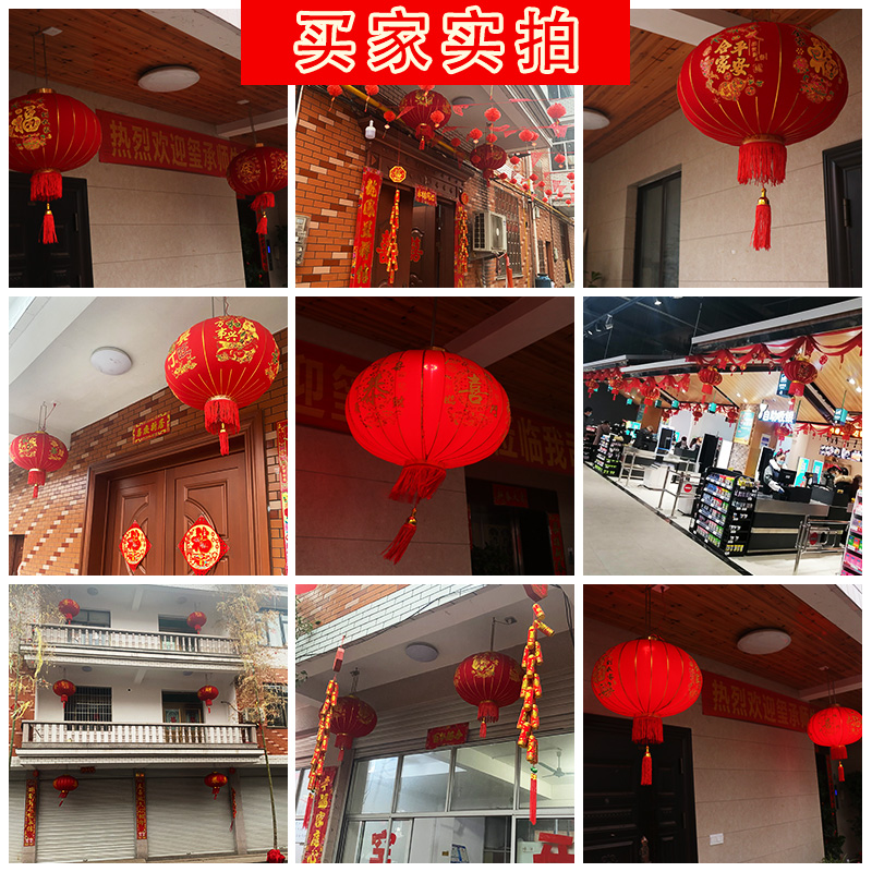 2025新款大红灯笼灯吊灯过年春节新年装饰户外大门口一对阳台挂饰