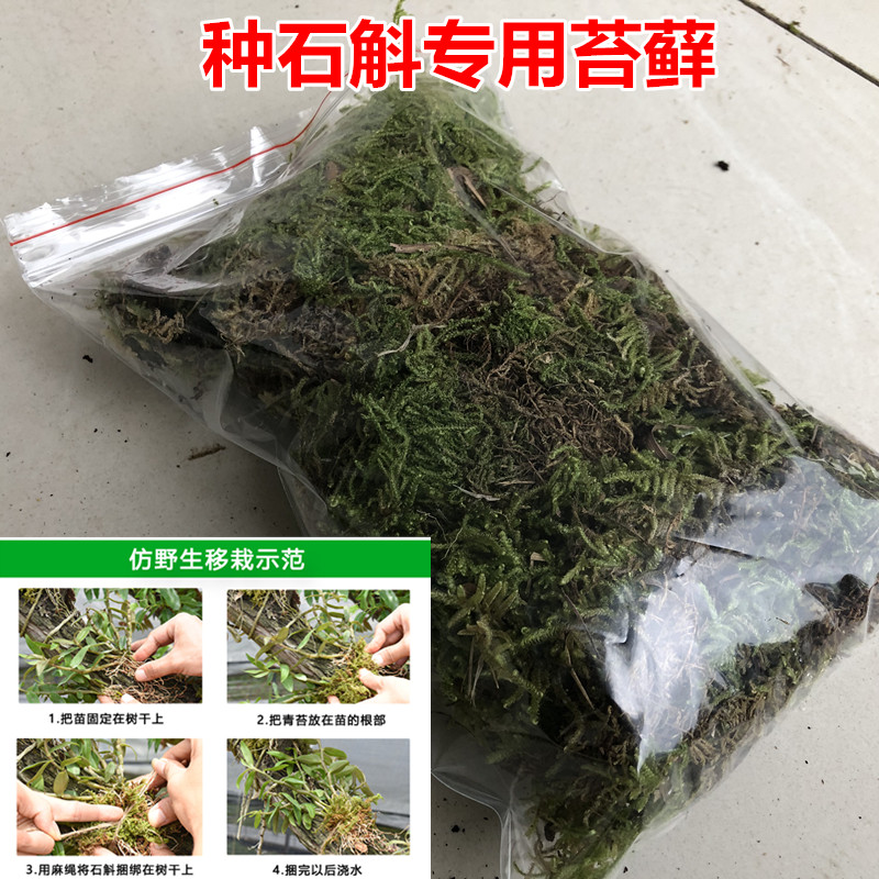 铁皮石斛枫斗苗基土泥丛苗基质驯化苗基质种植专用基质松树皮肥料