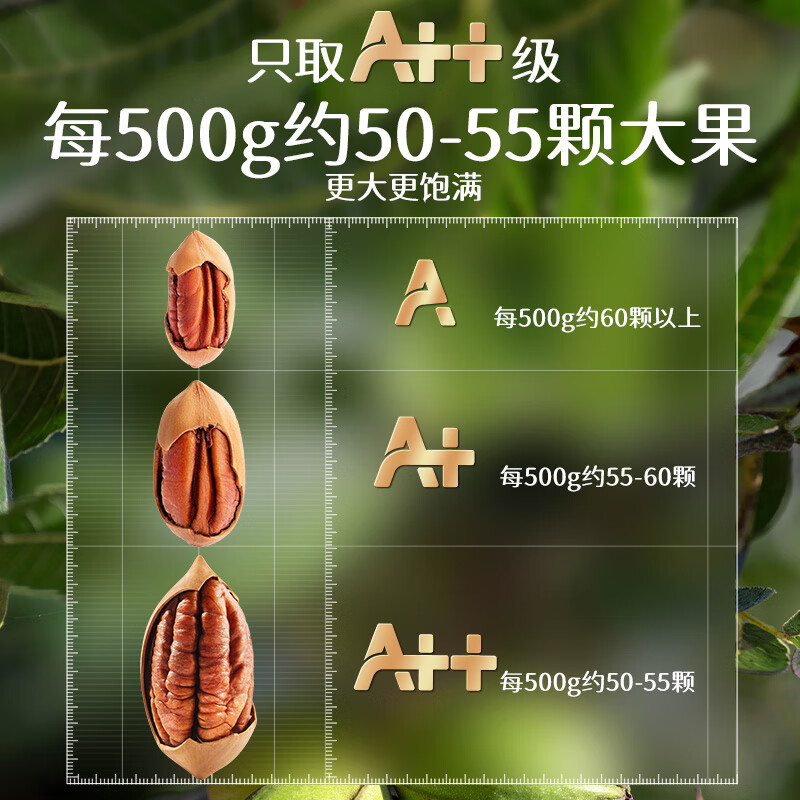 三只松鼠罐装大颗粒碧根果500g坚果炒货量贩干果手剥零食送礼-图0