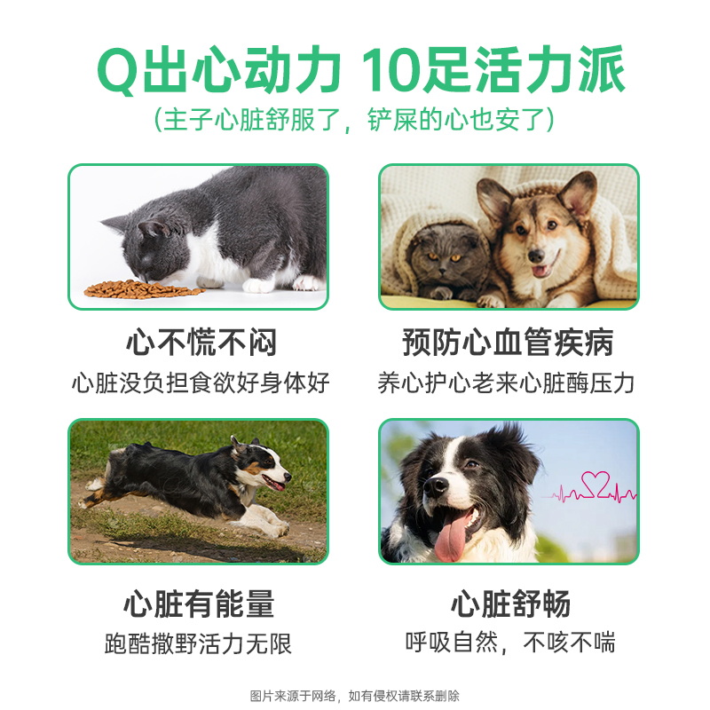 NUCAT辅酶q10宠物猫咪狗狗辅酶q10保护心脏心肌肥大猫用保健品