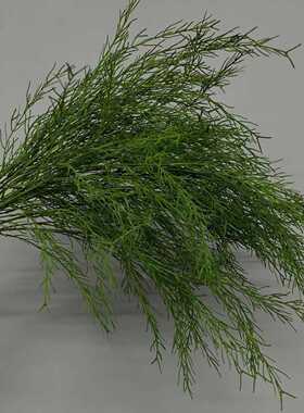 仿真绿植芦荀草绿荀草嘉兰百合火焰百合龙须草婚庆花墙莫奈花园