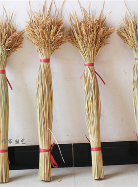 丰收稻子会展布置田园植物干花