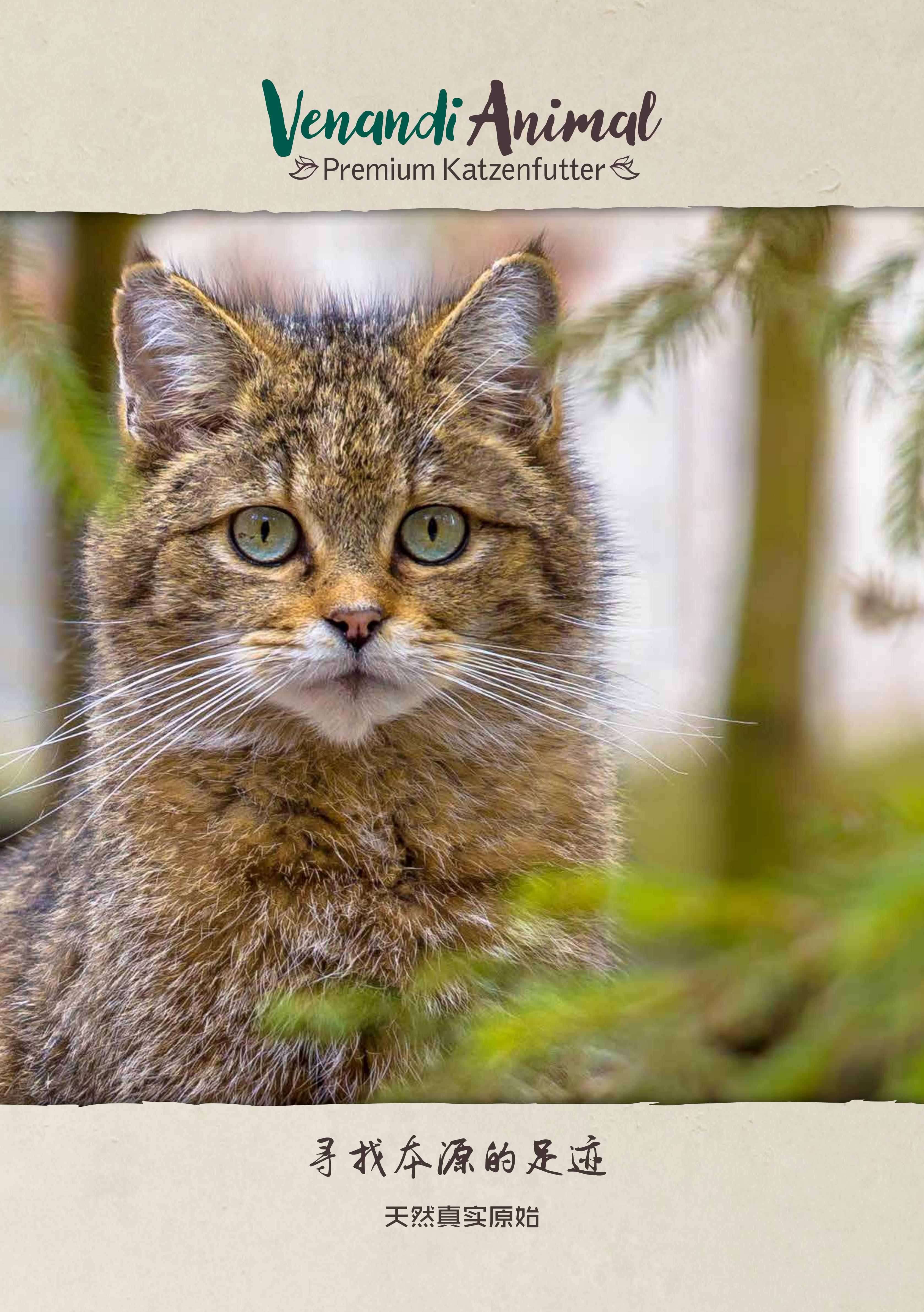 米猪猪德国venandi99%含肉ven成幼猫主食猫罐头鸭肉鸡肉餐包800g-图3