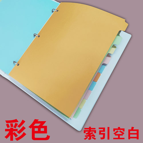 单张彩色分页纸索引页定制记号标书标签分类商务会议活页本文件夹 - 图0