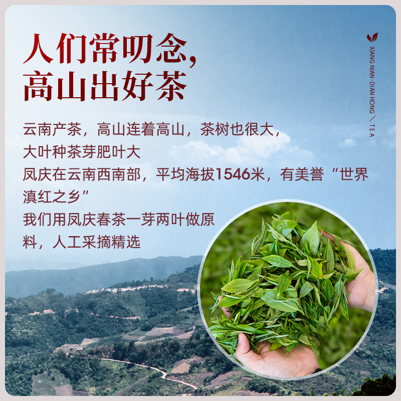 艺福堂正宗云南滇红大金针金芽散茶 艺福堂茗茶滇红