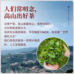 艺福堂茶叶正宗云南滇红大金针金芽蜜香浓香经典红茶古树散茶罐装