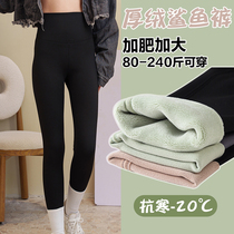 Big Code Shark Pants Fat MM200 Catty Extra Beat Underpants Autumn Winter Outwear Plus Suede High Waist Yoga Bali Pants