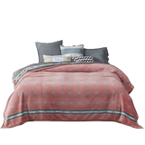 盛宇 Двусторонное зимнее утепленное удерживающее тепло одеяло