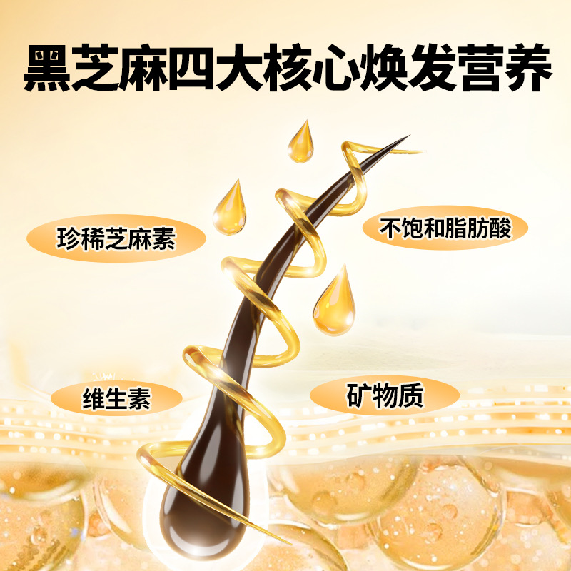 【李佳琦年货零食节】南方黑芝麻幸福颂礼盒速食早餐送长辈送礼