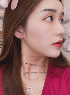 通体925银山茶花蝴蝶结进口施家钻女短项链choker轻奢百搭甜美