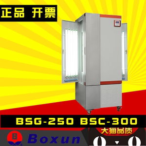 上海博迅BSG-250 BSC-300程控光照培养箱种子 药品强光稳定试验箱