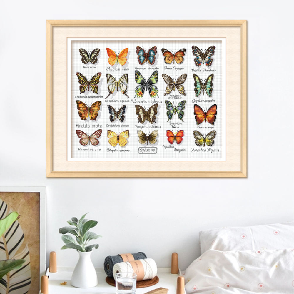 KS十字绣蝴蝶标本非满绣80色勾边手工绣线绣棉线自己绣客厅挂画,淘宝优惠券,粉丝福利购,淘宝优惠卷