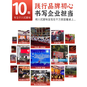 杨大爷麻辣香肠腊肠500克四川特产烟熏肉农家自制川味烤腊肉辣肠