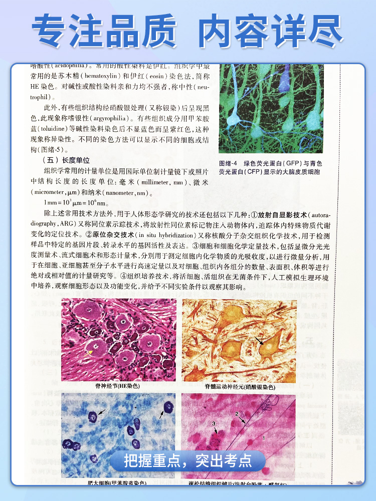 正版教材 人体解剖学与组织胚胎学 第8版第八版 吴建清 徐冶 供高职高专临床医学专业用 人民卫生出版社 9787117270274 - 图1