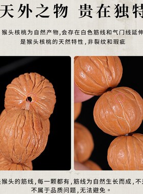 天然野生猴头凤羽手串小核桃南瓜