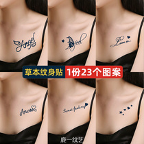 Collarbone Sexy Personality English Literature Advanced feel semi-permanent waterproof persistent grass This juice tattoo sticker male and female