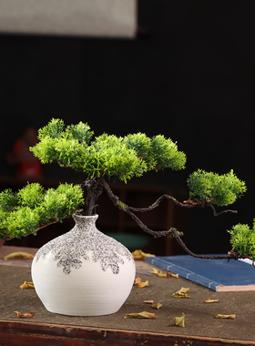 颢言仿真绿植装饰摆件玄关