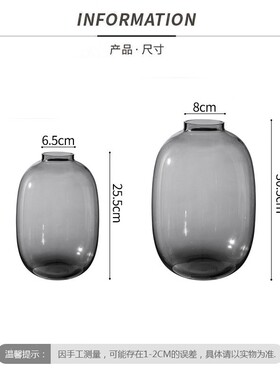 网红日式大肚花瓶马醉木银柳插花器龟背水养玻璃花瓶办公室摆件