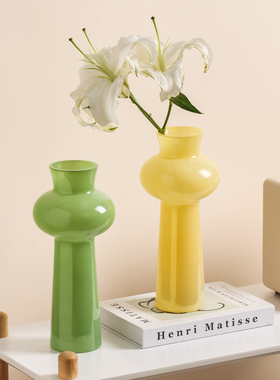 川岛屋玻璃花瓶高级感客厅插花摆件中古ins小众创意雪柳专用花瓶