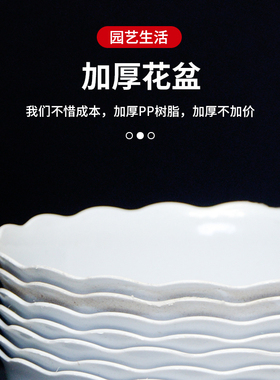 无孔水培塑料水仙花盆加厚铜钱草碗莲荷花睡莲水养植物专用小花盆