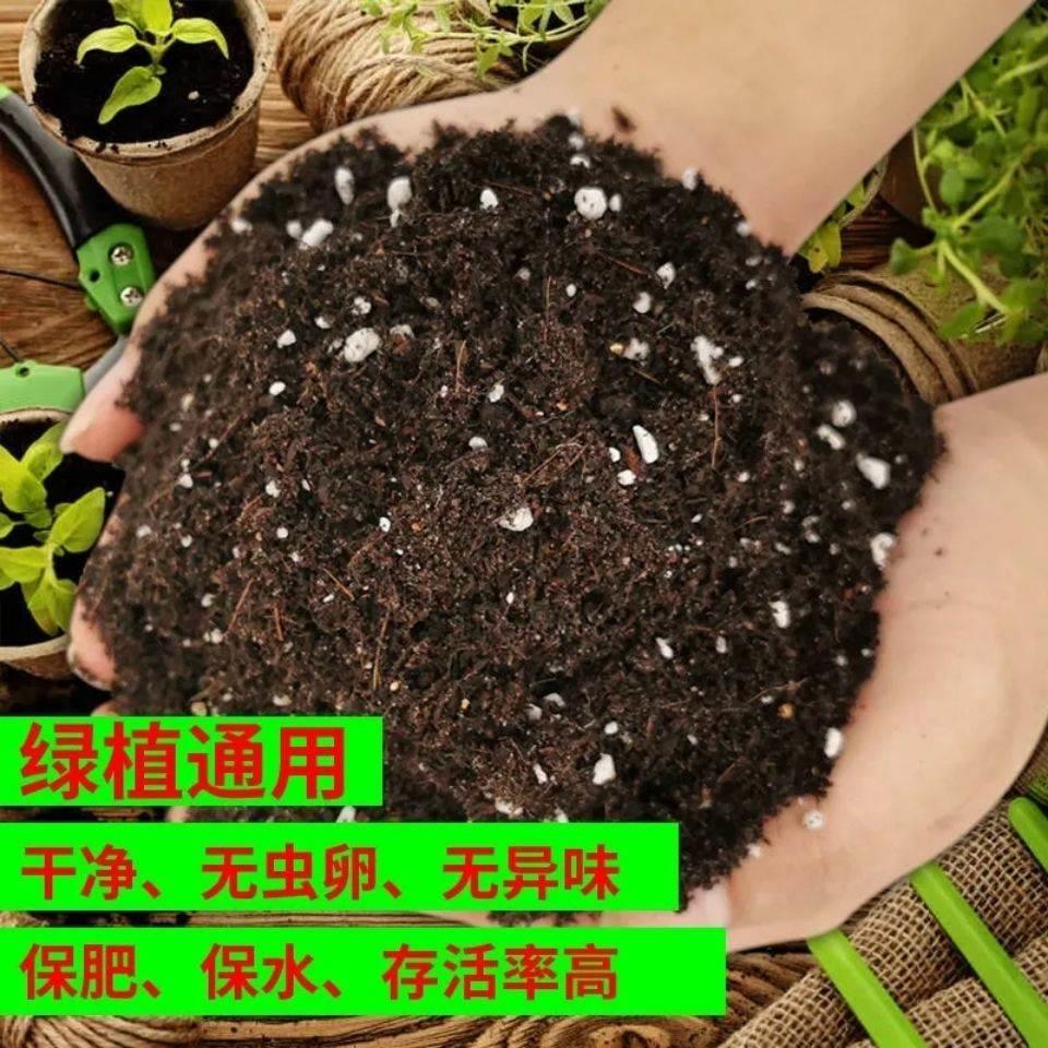 营养土养花种植专用通用型土壤种菜盆栽果树泥土黑土多肉种植肥料 - 图3