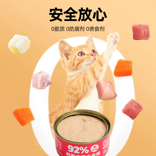 Кошка становится кошачьим котенком консервированной основной пищей, полная цена мокрый кошачий кошачий кошачий кошка закуски кошка консервированная пища не консервированная пища